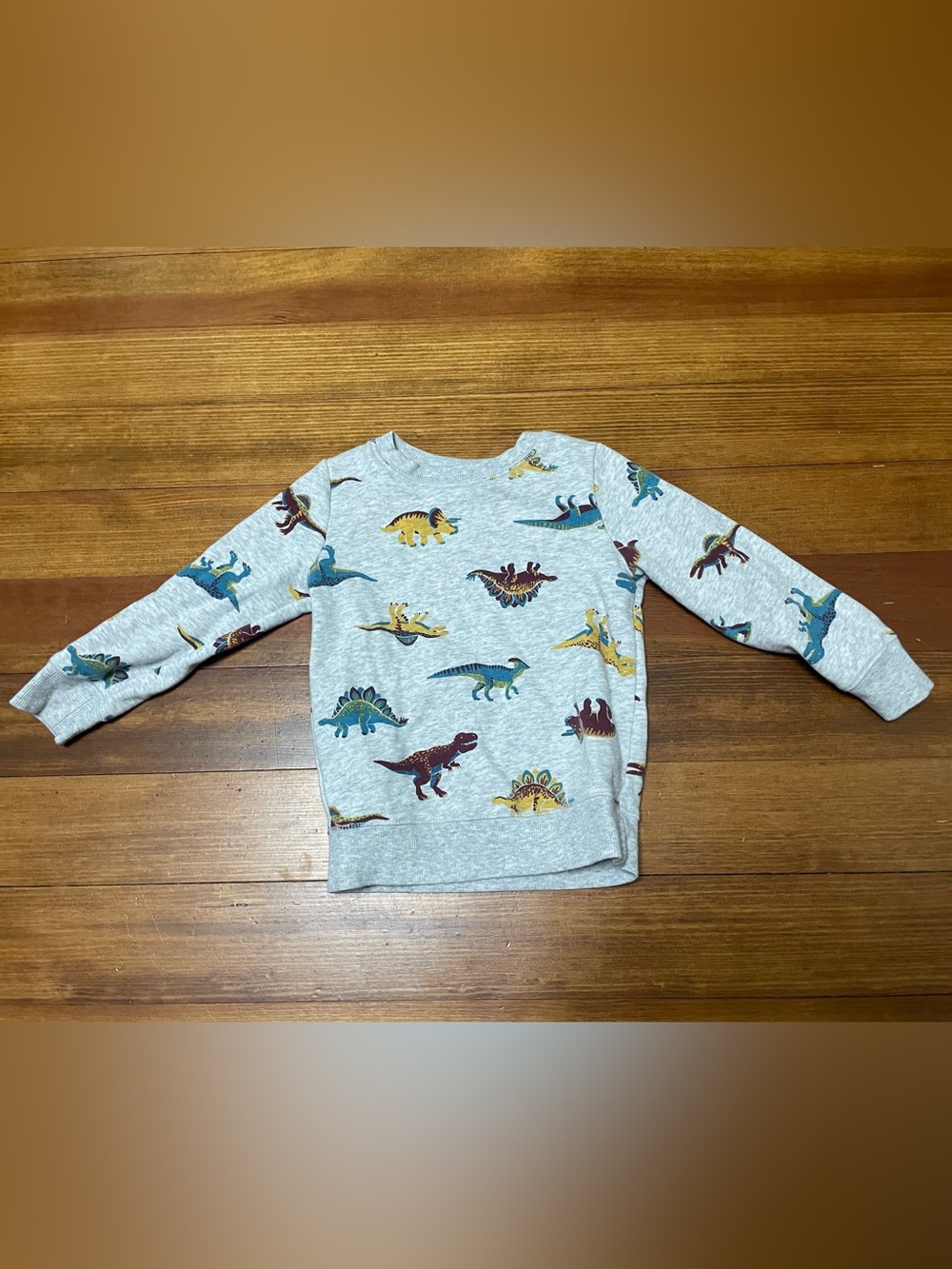 jumping beans Gray Multicolor Dinosaur Print Sweatshirt Size 24 Months